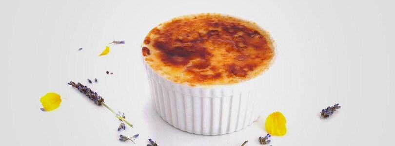 Lavender Creme Brulee Lavender Creme Brulee