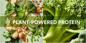 PLANT-POWERED PROTEIN