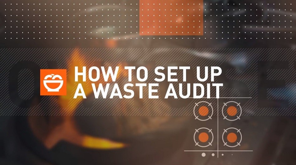 How to set up a waste audit
