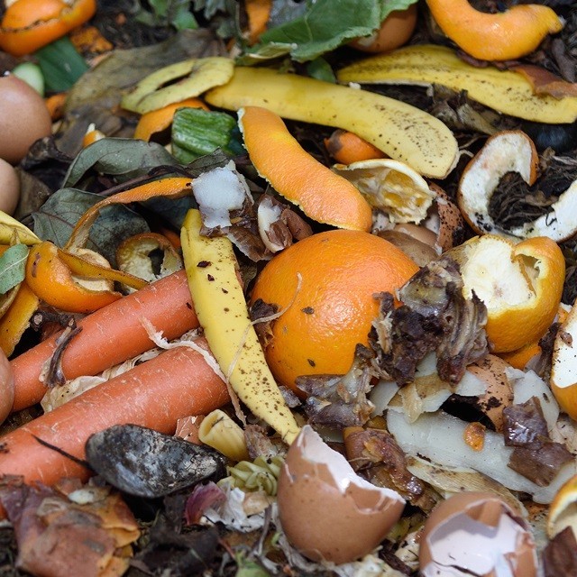 Waste Management Waste Management