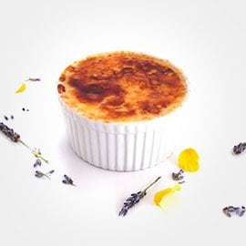 Lavender Creme Brulee Lavender Creme Brulee